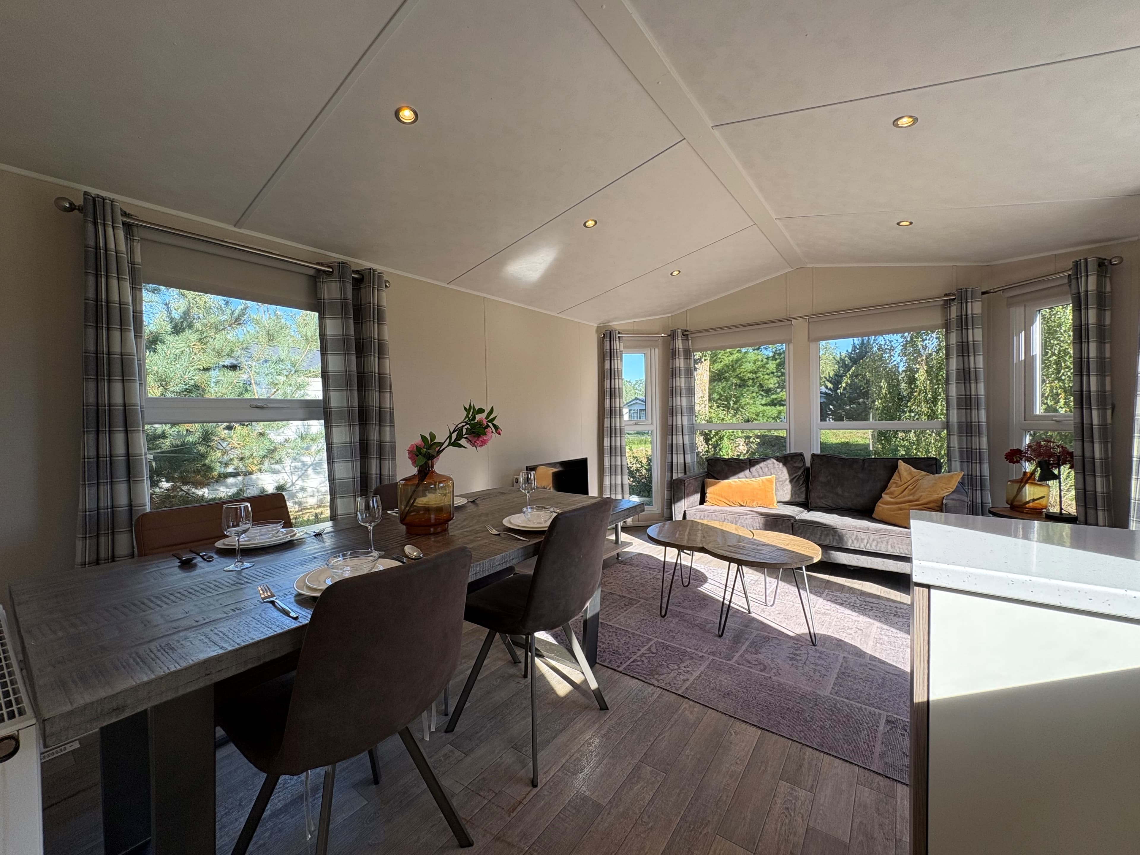 Ruime woonkamer met eetgedeelte, bank en veel natuurlijk licht door grote ramen in een recreatiewoning