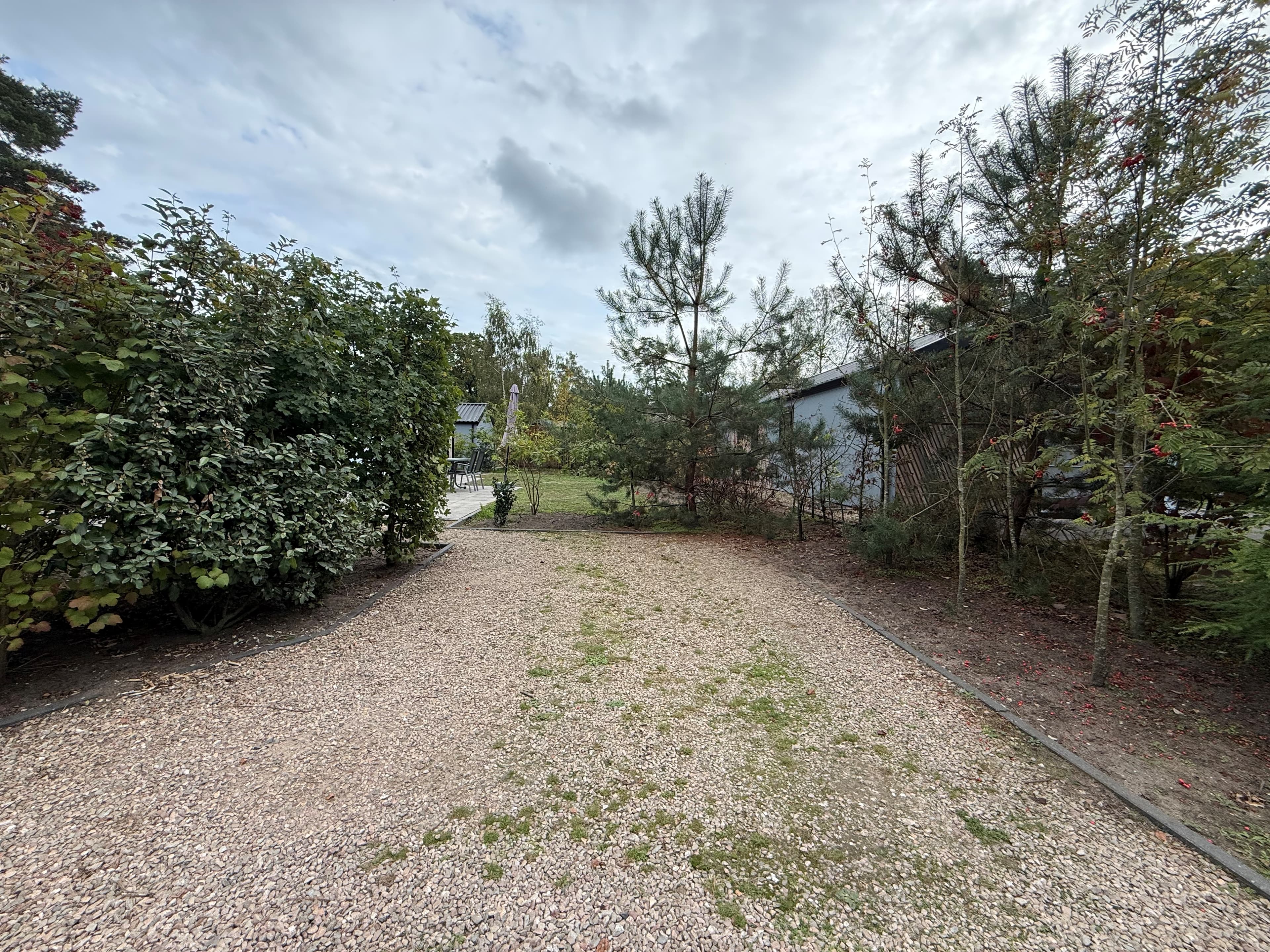 Grindpad omgeven door groen met bomen en struiken, leidt naar de recreatiewoning in EuroParcs De Hooge Veluwe.