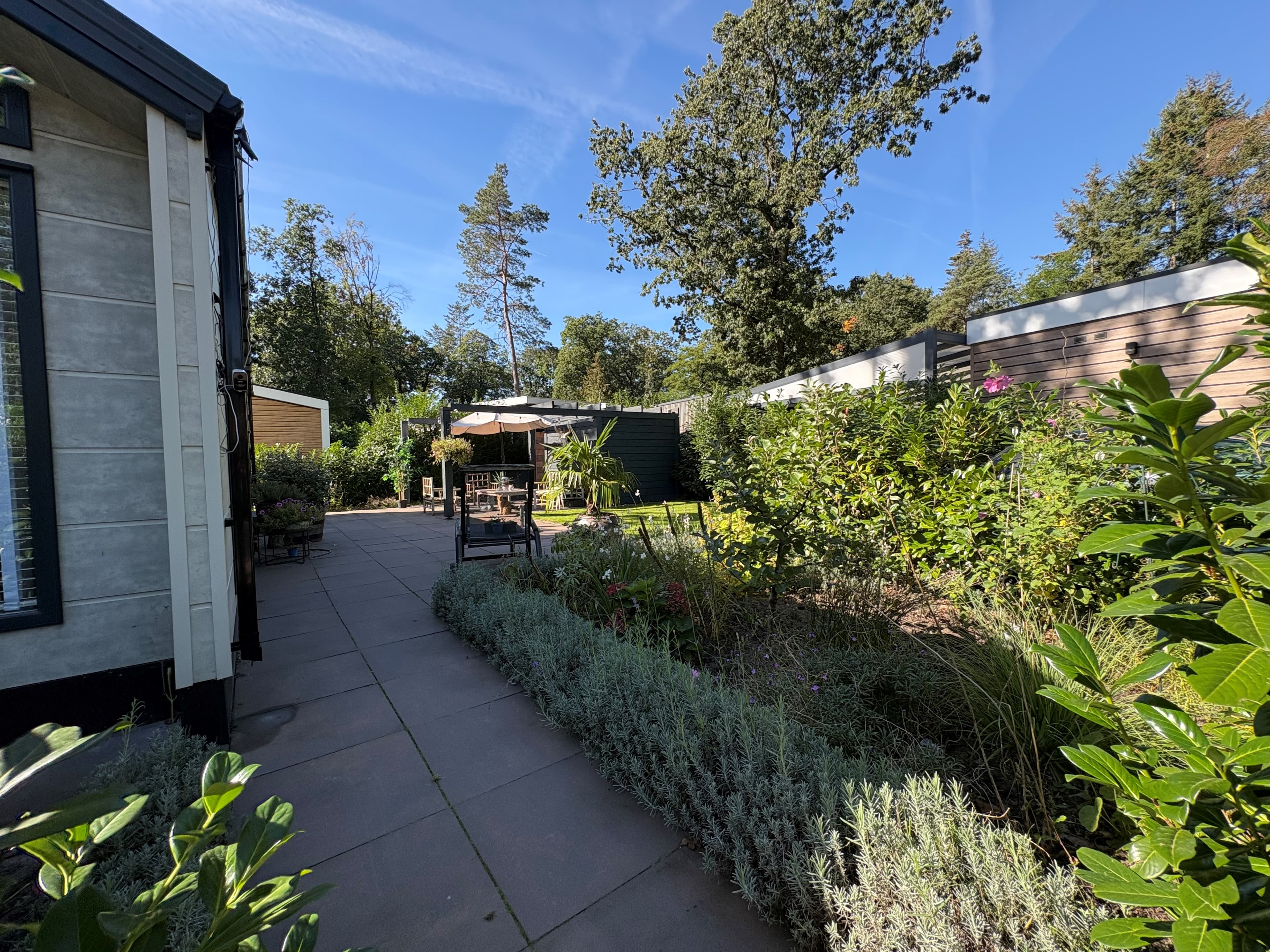 Zicht op een betegeld pad met struiken en planten, met een zitgedeelte onder een parasol tussen recreatiewoningen.