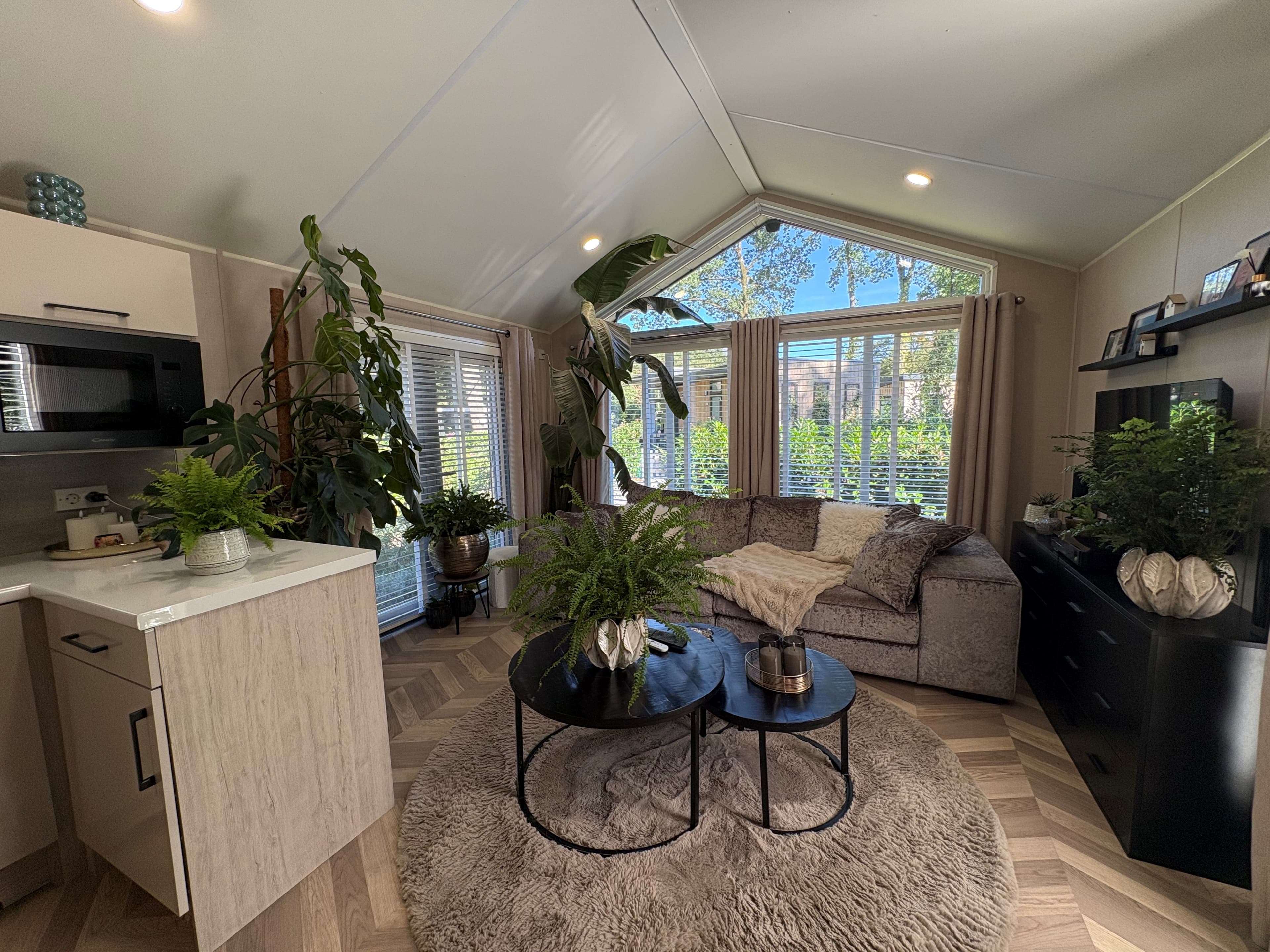 Moderne recreatiewoning met lichte woonkamer, grote ramen, een bank, planten en een eettafel in een open indeling