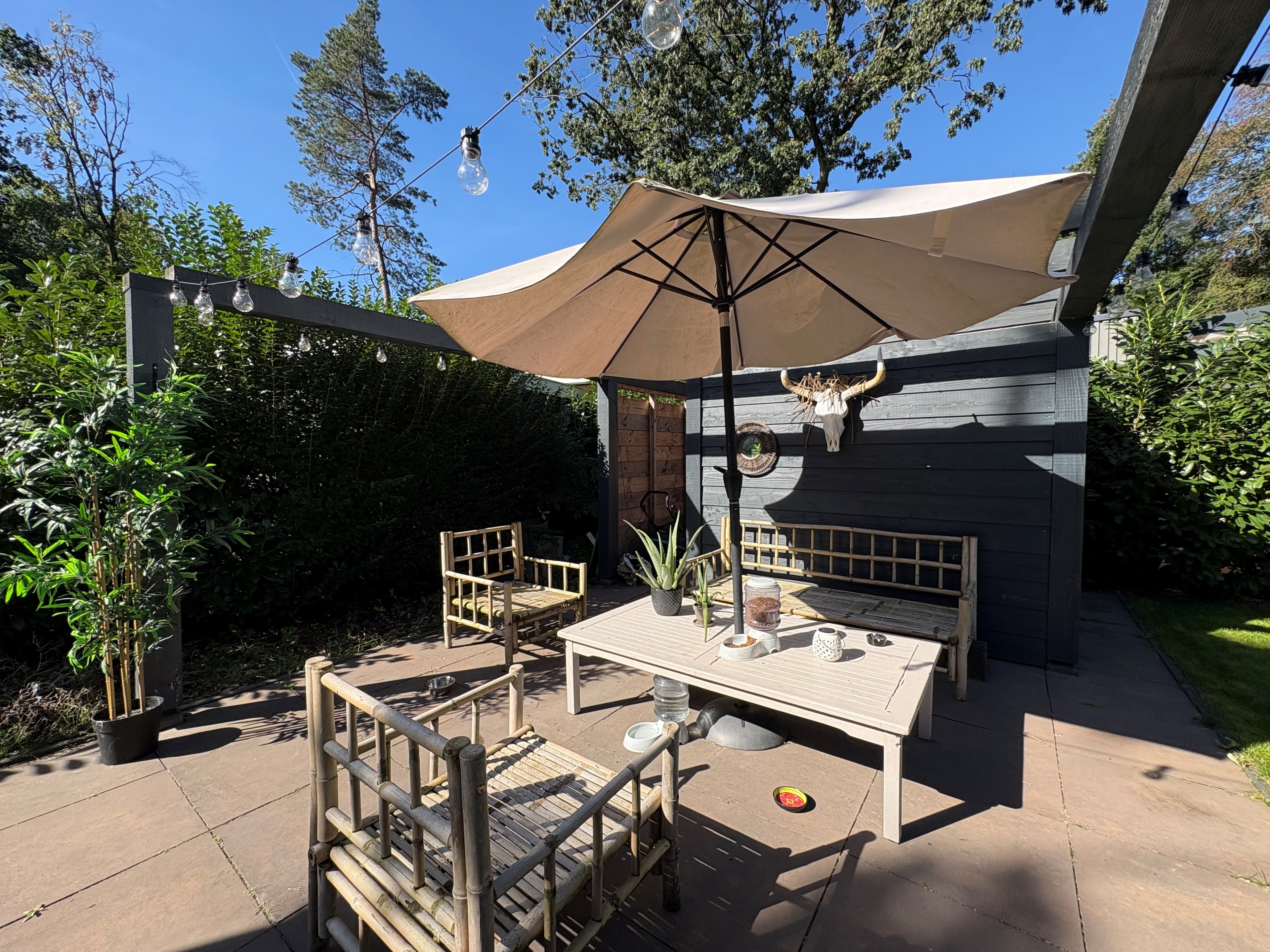Tuin met een houten tafel en stoelen, een parasol en groene planten rondom de zithoek.