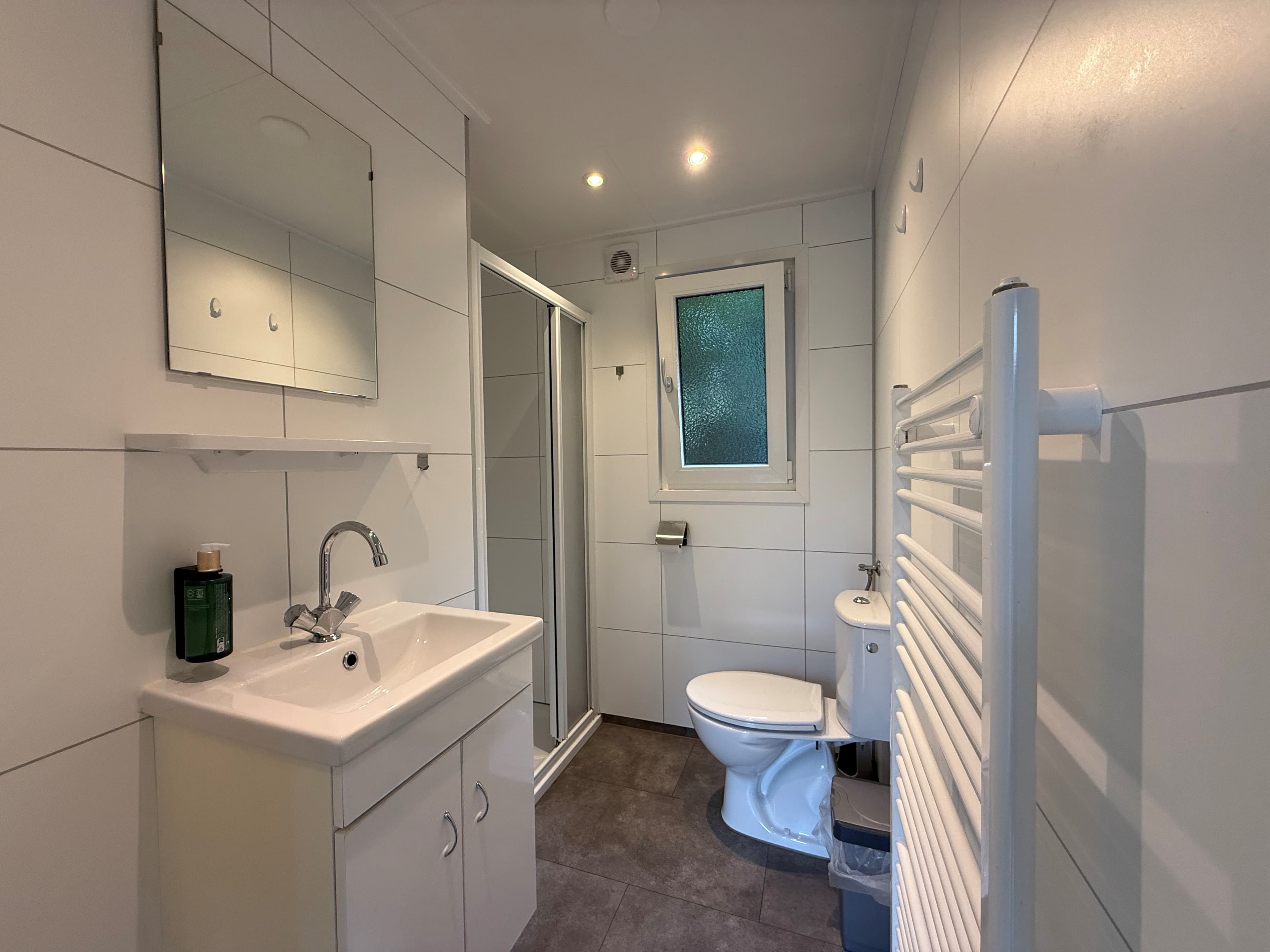 Moderne badkamer met douche, wastafel, spiegel, toilet en handdoekradiator in lichte betegeling.