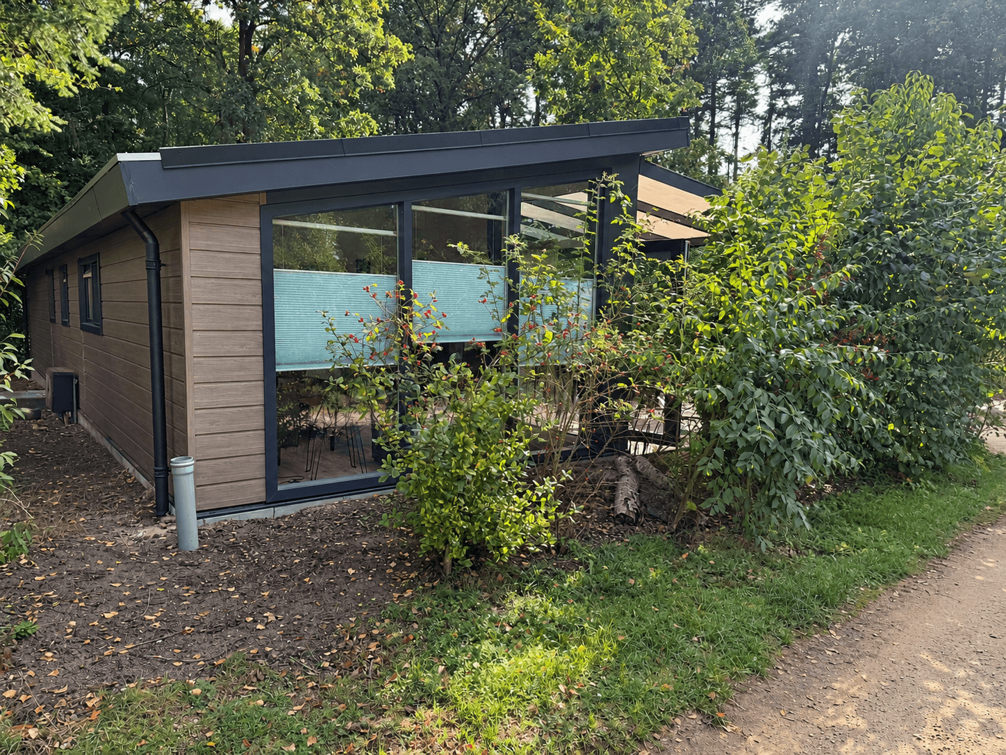 Moderne recreatiewoning met grote ramen, omgeven door groene begroeiing en een pad naar de ingang