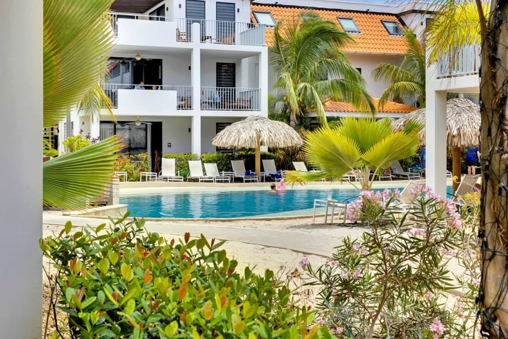Zicht op het zwembad omringd door palmbomen, ligstoelen en een schaduwrijke hut bij Delfins Beach Resort Bonaire.
