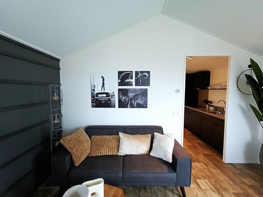 Ingerichte woonkamer met grijze bank, kunst aan de muur en toegang tot de keuken in EuroParcs De IJssel Eilanden