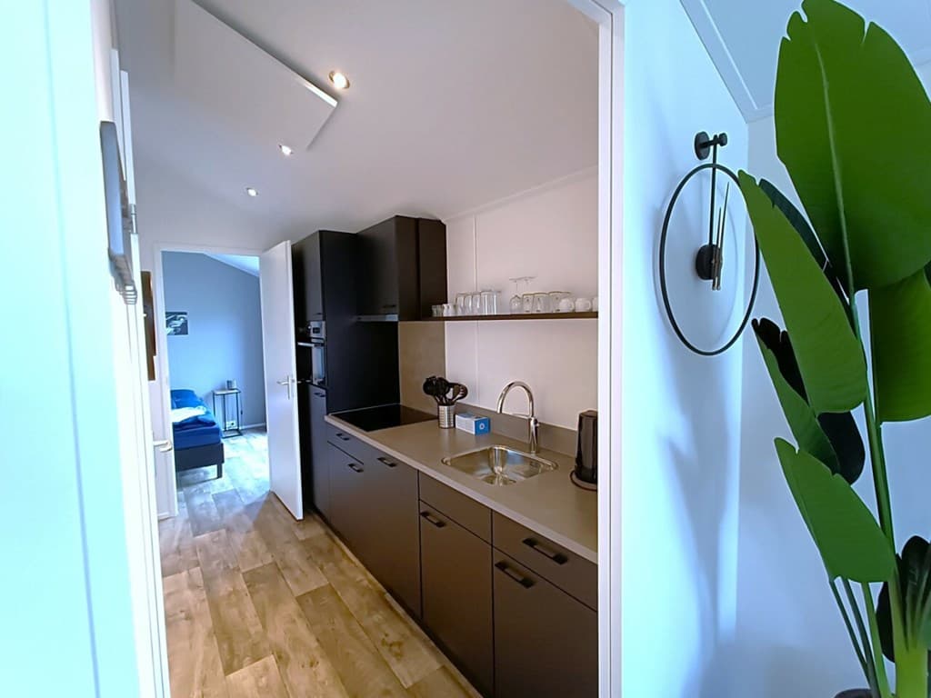 Moderne keuken met zwarte kasten, spoelbak en keukenapparatuur, met zicht op een slaapkamer en een plant in de hoek.