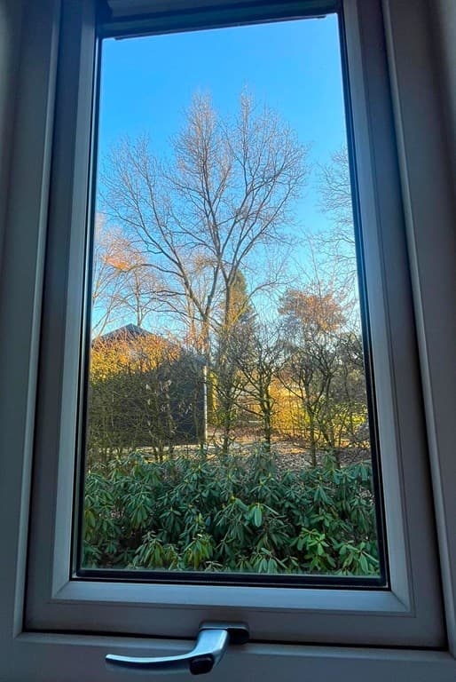 Uitzicht vanuit het raam met zicht op bomen en struiken in een groene omgeving onder een blauwe lucht
