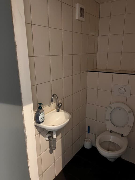 Klein toilet met een wastafel, betegelde wanden en een toiletborstel in de hoek.