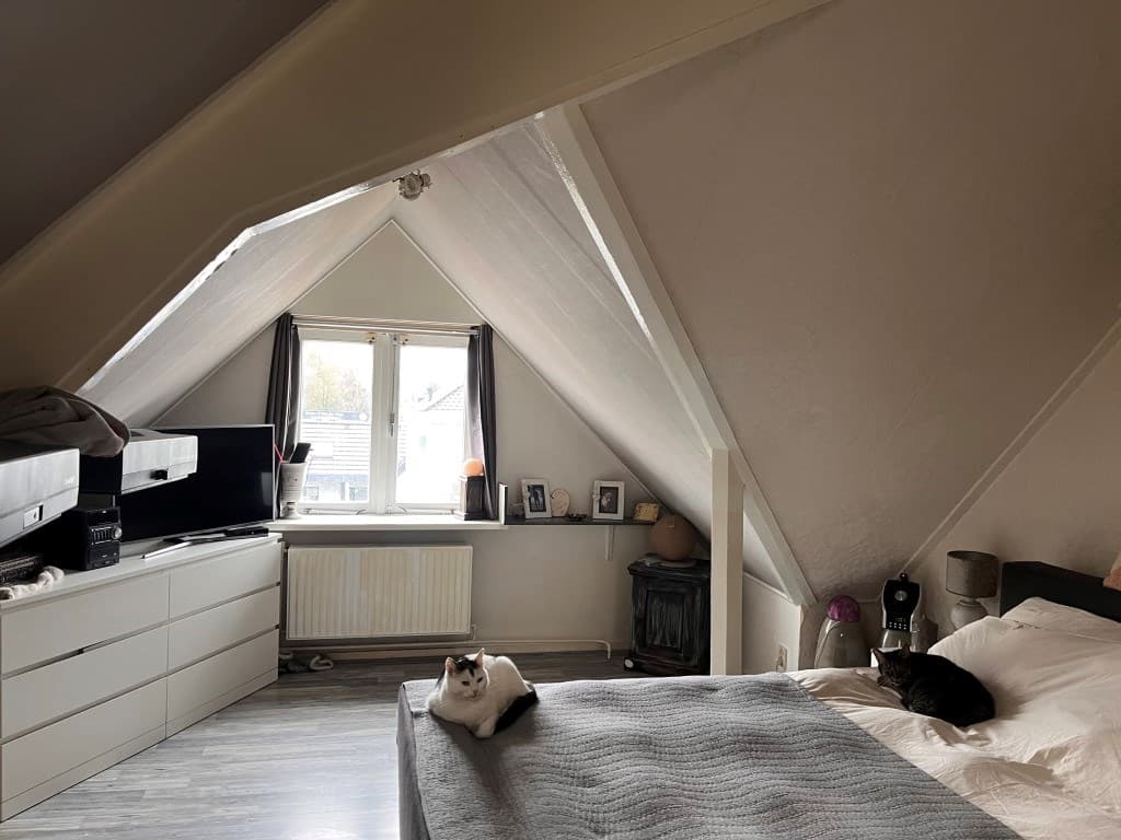 Slaapkamer met schuin dak, bed, kast, tv en twee katten op het bed en de vloer. Raam met gordijnen en fotolijstjes.