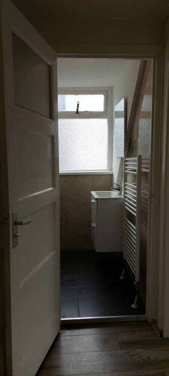 Ingang naar een ruimte met een wastafel en handdoekradiator, licht door een raam met verzetsglas