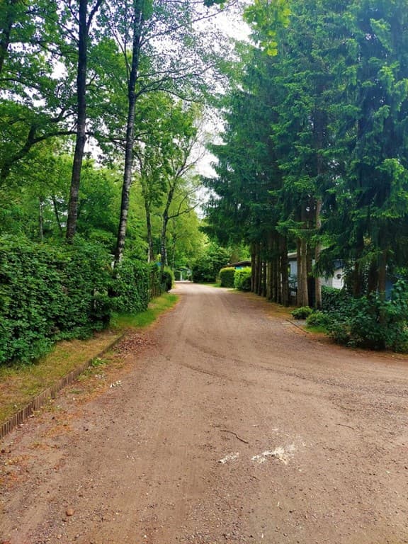 Een onverharde straat omzoomd door bomen en groene hagen in Bospark Ede