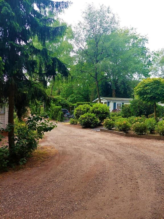 Zicht op een onverharde oprit met groene begroeiing en een vakantiewoning tussen de bomen in Bospark Ede