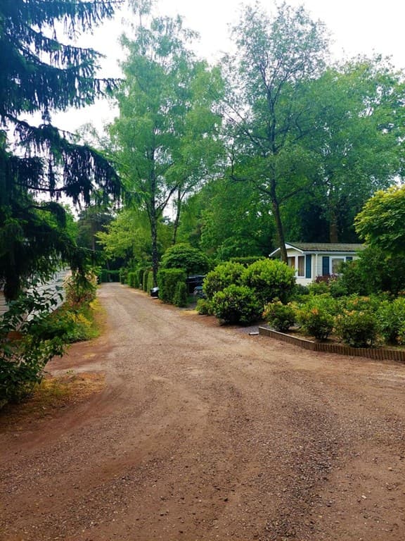 Zandpad met bomen en struiken, woning aan de rechterkant met een groene tuin en een grijze dak.