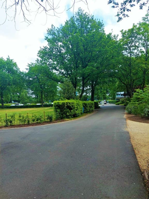 Oprit naar een vakantiewoning omringd door groen, met bomen en een gazon aan de zijkant van de weg.