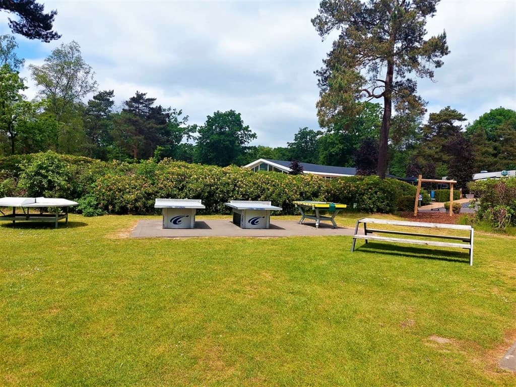 Zicht op een groene tuin met picknicktafels en een bank, omringd door struiken en bomen op een park.