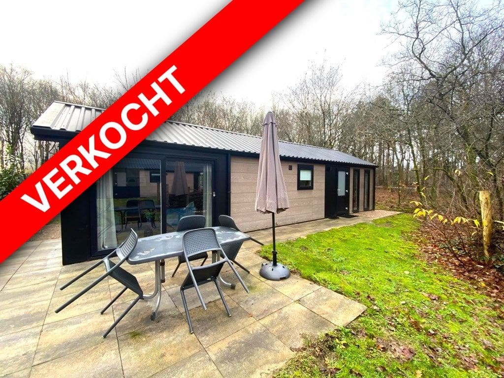 Moderne vakantiewoning met een terras, parasol en uitzicht op een groene omgeving in EuroParcs Ruinen