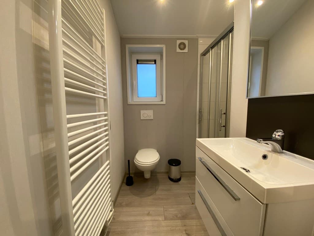 Moderne badkamer met douche, toilet, wastafel en handdoekenradiator in lichte kleuren