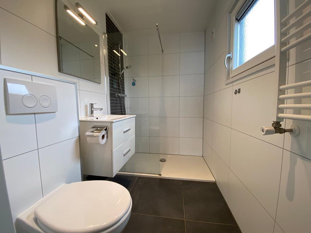 Moderne badkamer met douche, wastafel en toilet in een ruimte met witte tegels en donkere vloertegels.