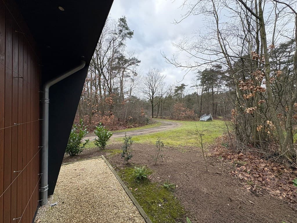 Uitzicht vanaf de woning met een pad dat door het bos slingert en omringd door bomen en begroeiing