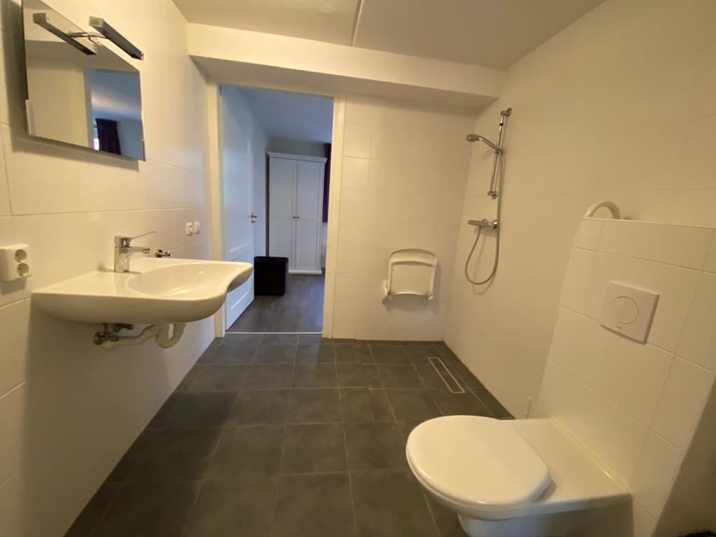 Moderne badkamer met douche, toilet en wastafel, lichte betegeling en ruimte voor accessoires.