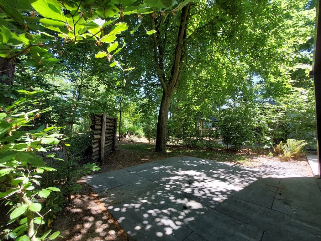 Groene oase met zonlicht dat door de bladeren schijnt, een betegeld pad en bomen op EuroParcs Resort De Utrechtse Heuvelrug.
