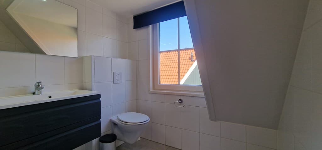 Lichte badkamer met liggend toilet, wastafel en raam met zicht op het dak van een andere woning.