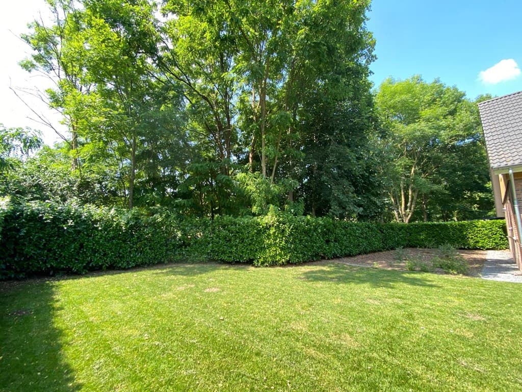 Groene tuin met gemaaid gras en hoge heilig huisjeheg met bomen op de achtergrond onder een blauwe lucht
