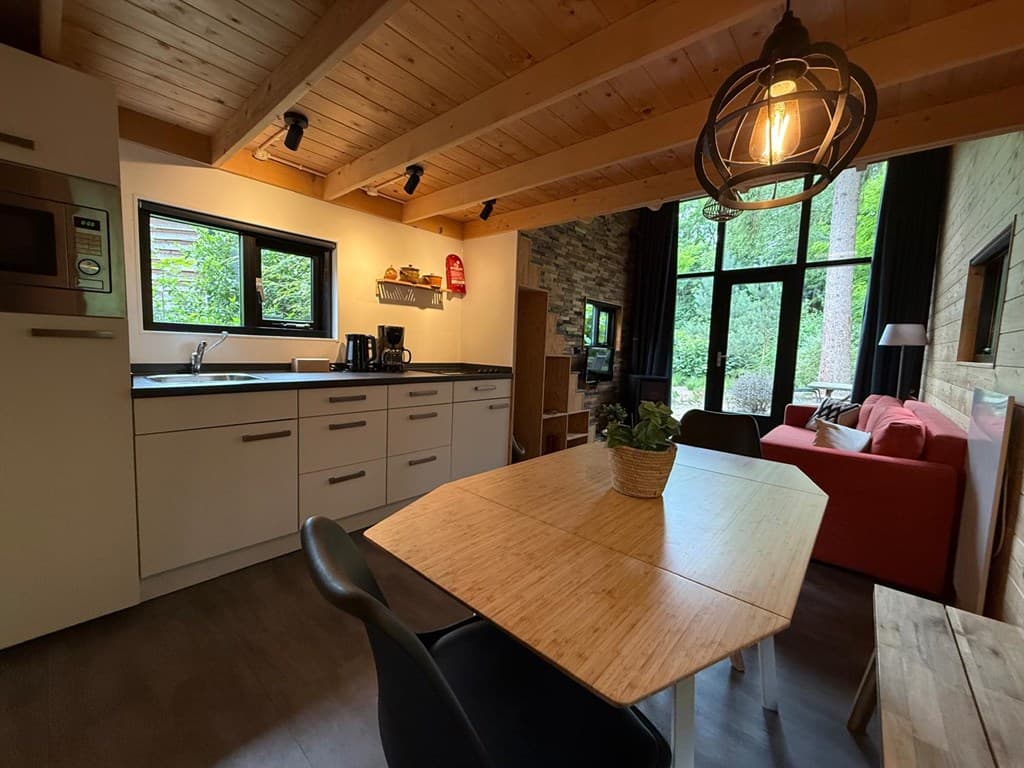 Moderne woonkamer met open keuken, houten balkenplafond en grote ramen met uitzicht op de natuur.