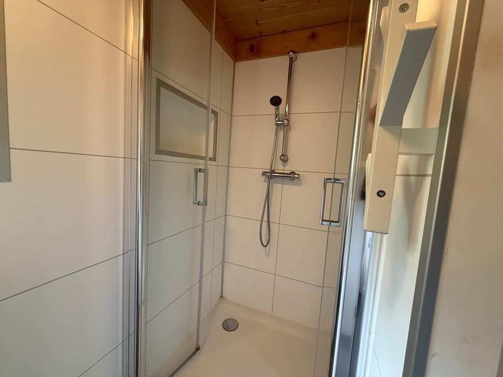 Douchecabine met glazen wanden, betegelde wanden en een houten plafond in EuroParcs Beekbergen