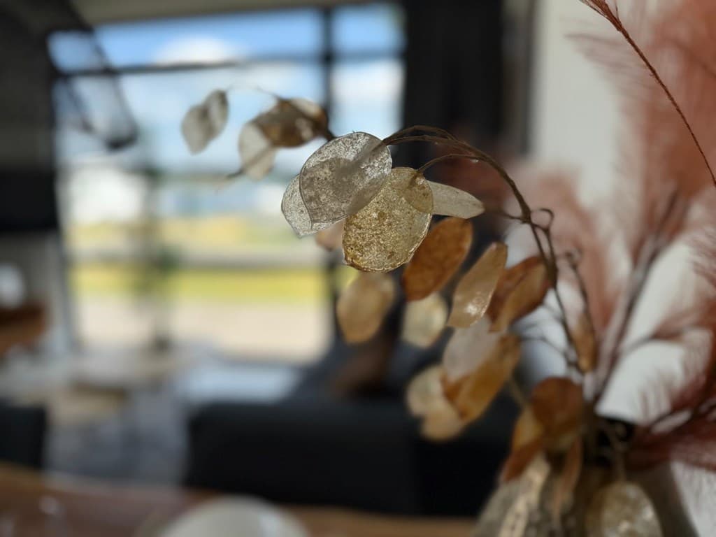 Een close-up van decoratieve takken met bladeren, in een moderne woonkamer met een grote glazen schuifdeur op de achtergrond
