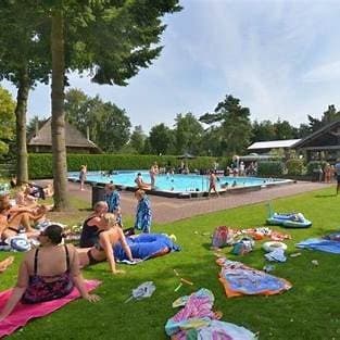 Zwemgebied met een zwembad omringd door gras en ligstoelen, gasten genieten van de zon op de omgeving.