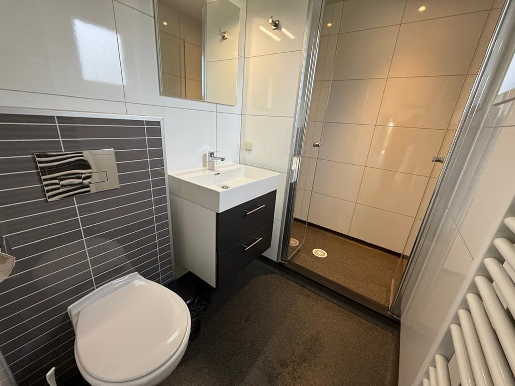 Moderne badkamer met douche, wastafel en toilet, uitgerust met spiegel en wandradiator