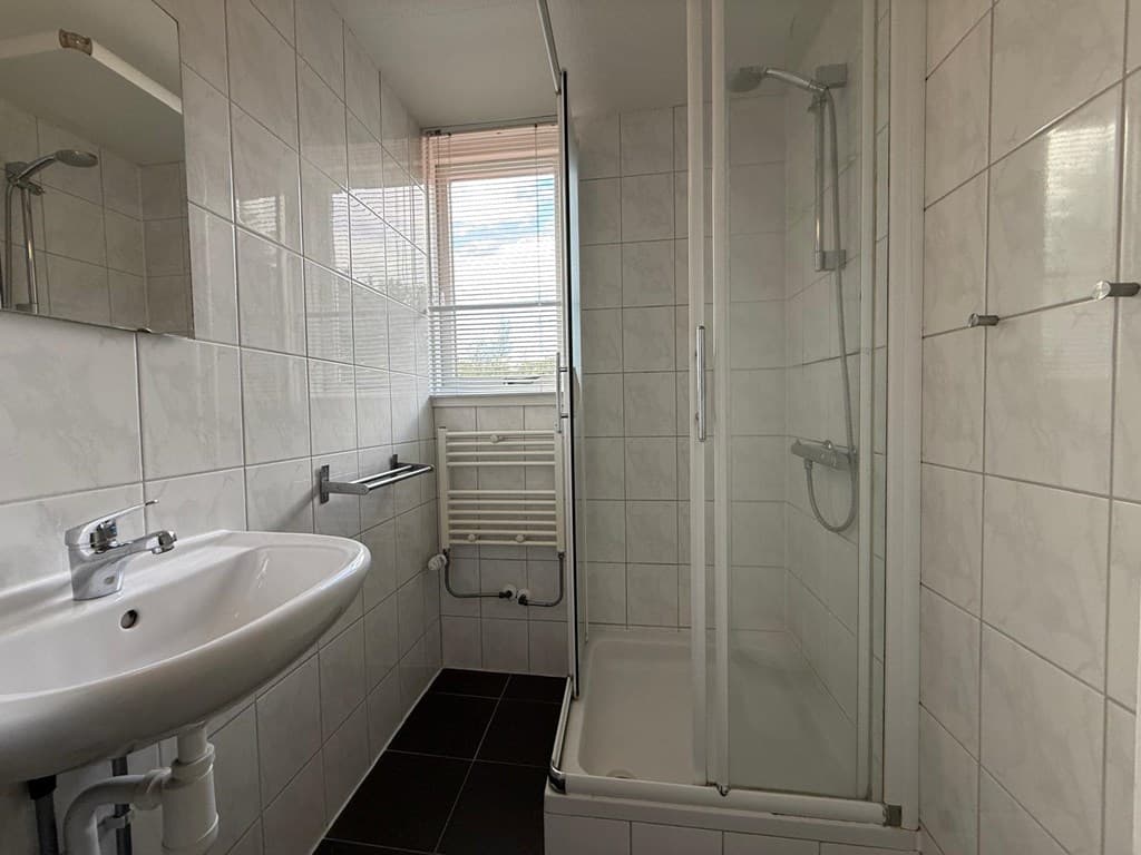 Badkamer met douche, wastafel en handdoekradiator, betegelde wanden en raam met uitzicht naar buiten.