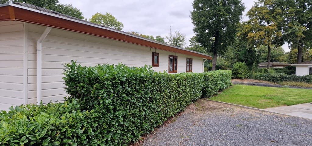 Zijaanzicht van een vakantiewoning omgeven door een haag en een grindpad, met bomen op de achtergrond.