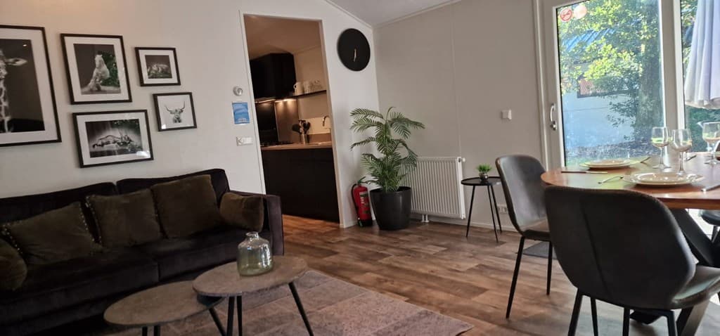 Woonruimte met bank, eettafel en open keuken, grote ramen zorgen voor natuurt licht en planten decoreren de ruimte