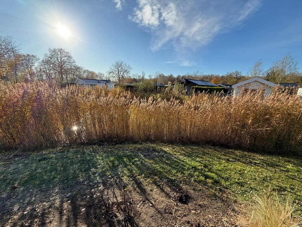 Uitzicht op een groene strook met hoge rietplanten en woningen op de achtergrond, onder een heldere blauwe lucht.