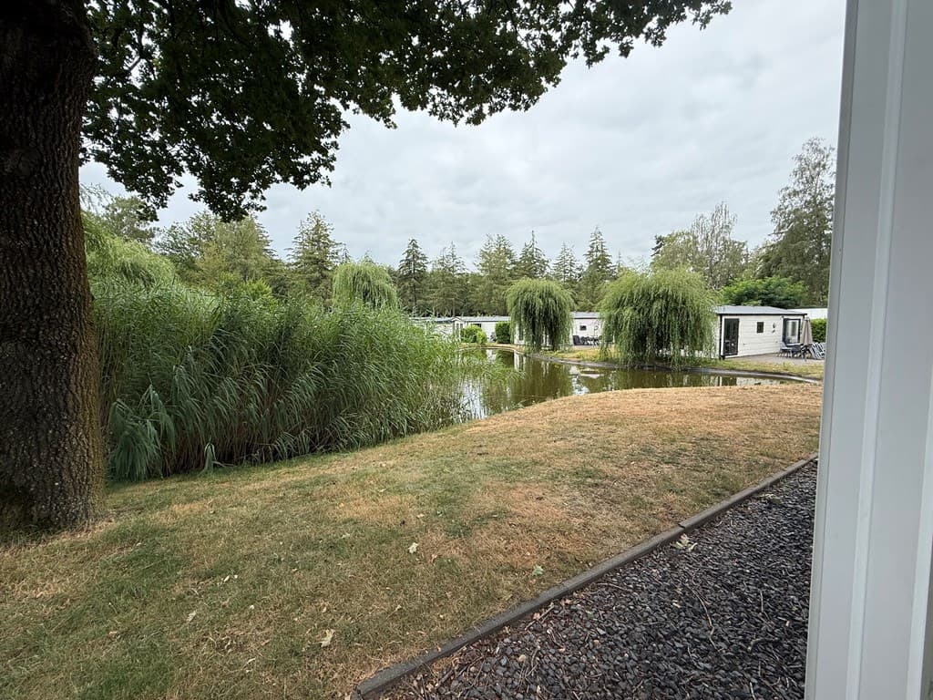 Uitzicht op een vijver omgeven door groen en bomen, met vakantiehuizen op de achtergrond.