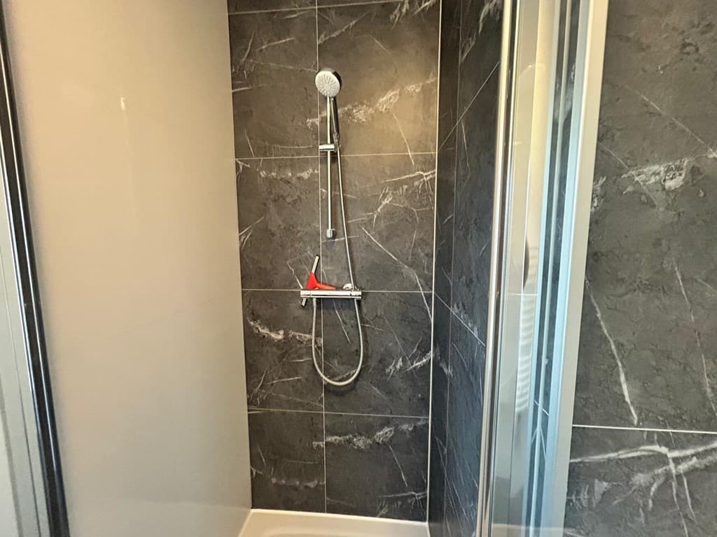 Douchecabine met tegelwanden in donkere kleur en een moderne handdouche in een woning
