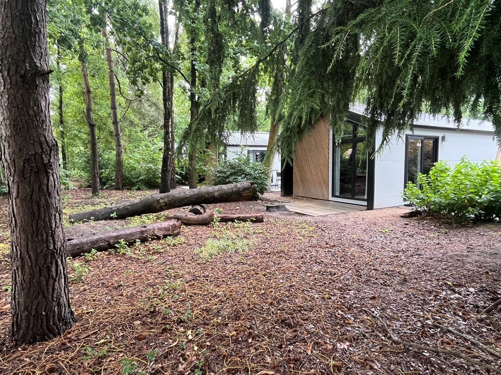 Woning omgeven door bomen met een houten terras en een modern kozijn in een groene omgeving