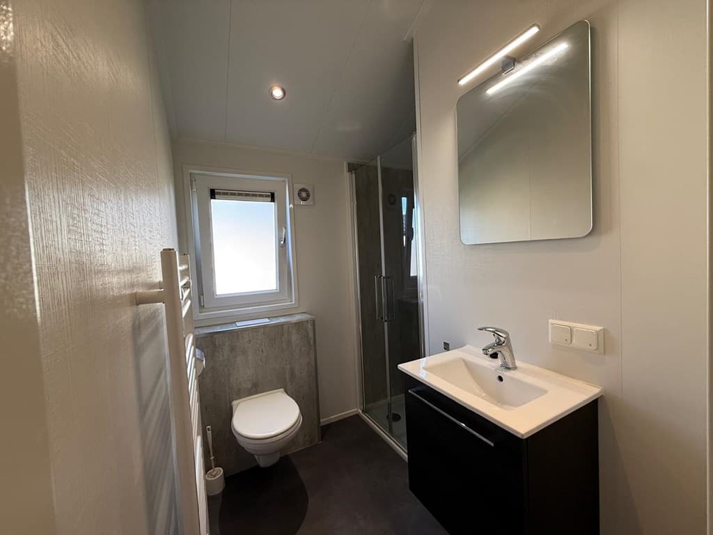 Moderne badkamer met douche, wastafel en toilet, voorzien van een spiegel en een radiator aan de wand.