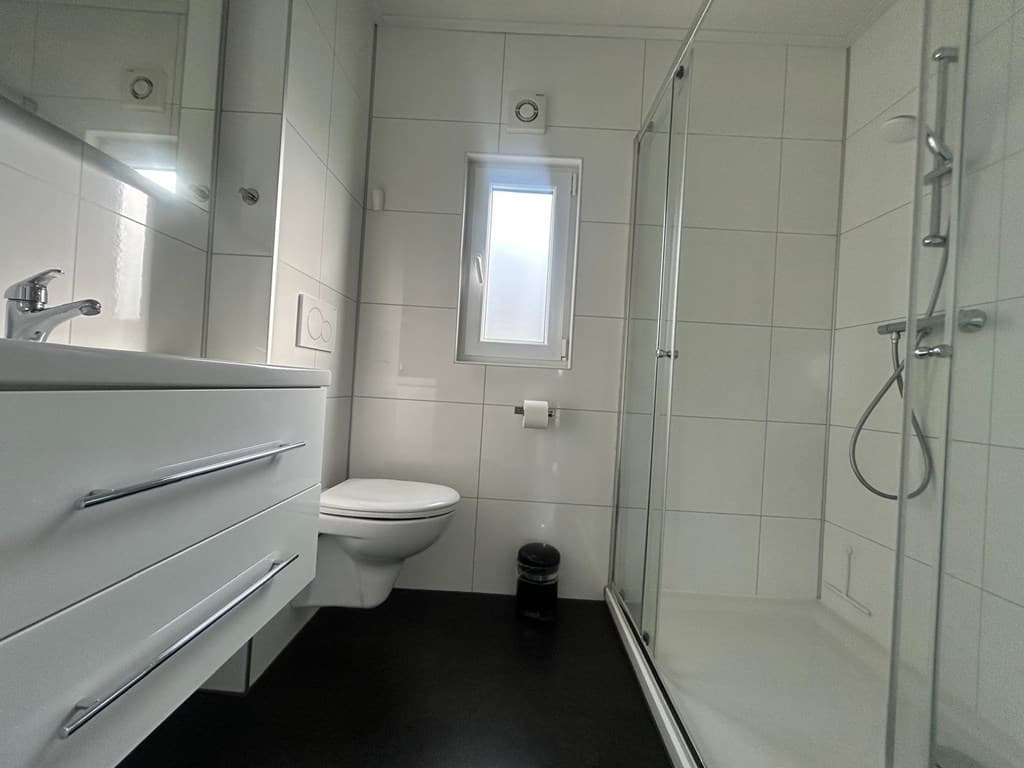 Moderne badkamer met inloopdouche, toilet en wastafel met lades en spiegel. Lichtinval van het raam zorgt voor helderheid.
