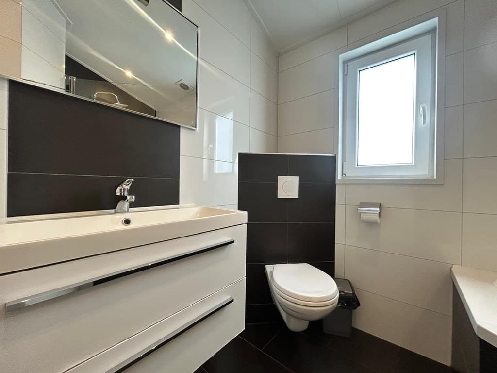 Badkamer met een wastafel, toilet en een raam met natuurlijk licht op EuroParcs Zuiderzee in Biddinghuizen