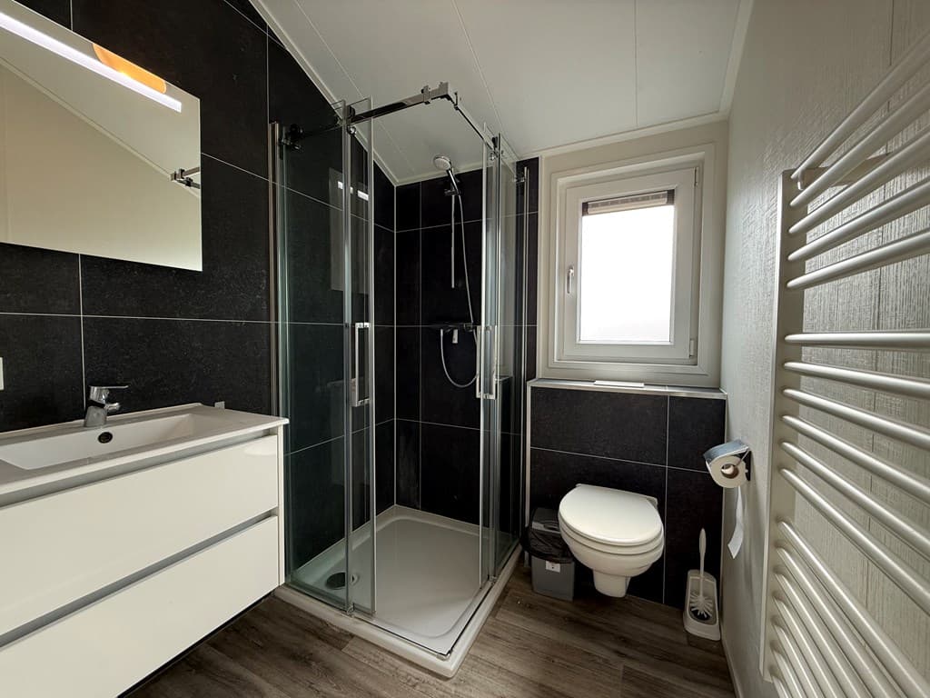 Moderne badkamer met douchecabine, wastafel, toilet en enkele ramen voor natuurlijke lichtinval.