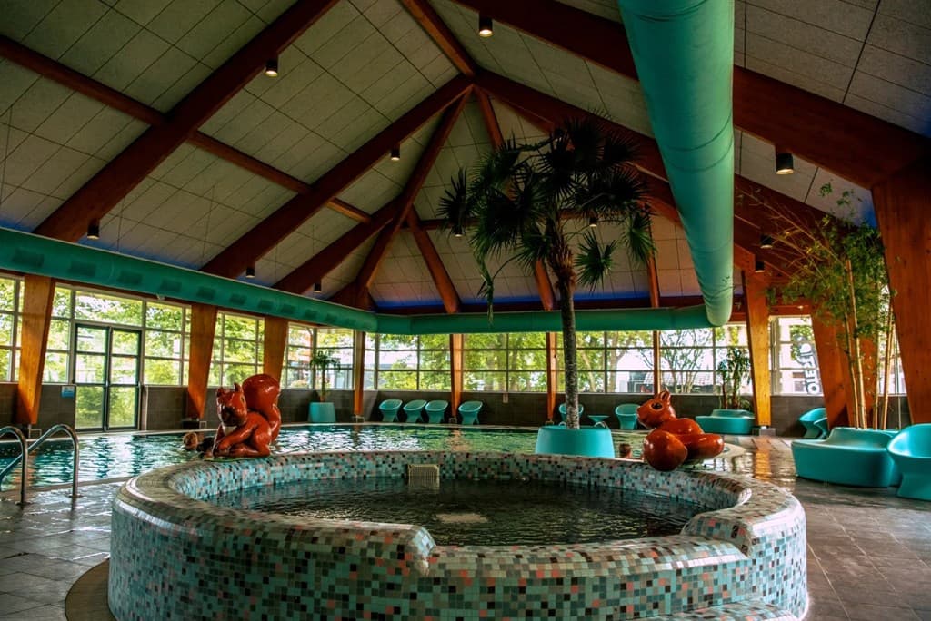 Binnenzwembad met een ronde jacuzzi, kleurrijke zitplaatsen en grote ramen met uitzicht op groen.