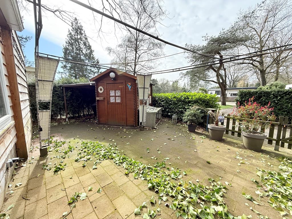 Patio met betegeling, een houten schuur, groene hagen en potplanten, deels bedekt met bladeren.