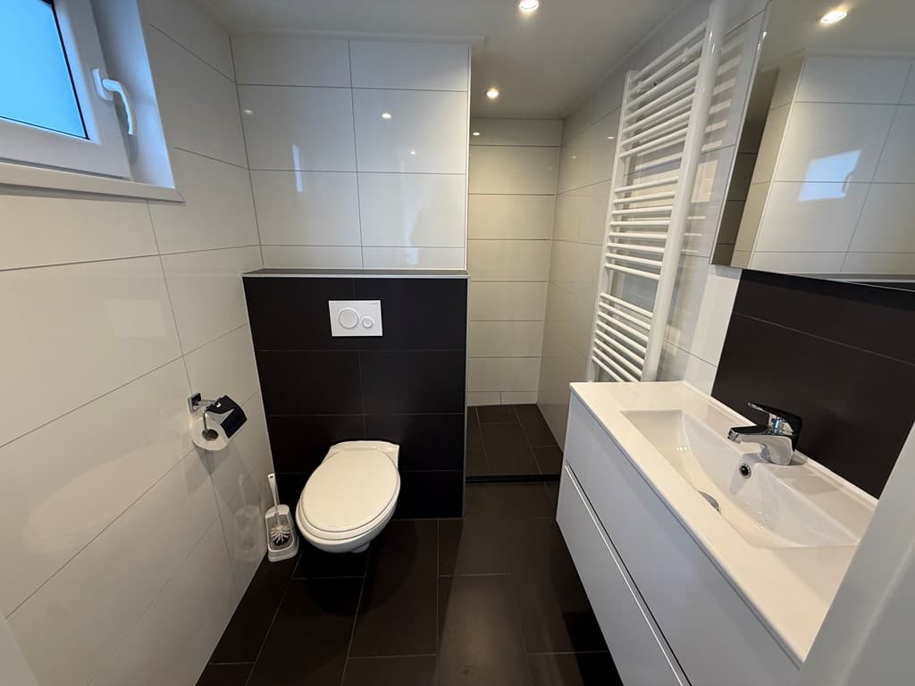 Moderne badkamer met toilet, wastafel en stijlvolle tegels in zwart en wit. Verduidelijking door natuurlijke verlichting.