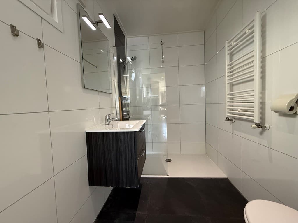 Moderne badkamer met inloopdouche, wastafelmeubel en handdoekradiator tegen een witte tegelwand.