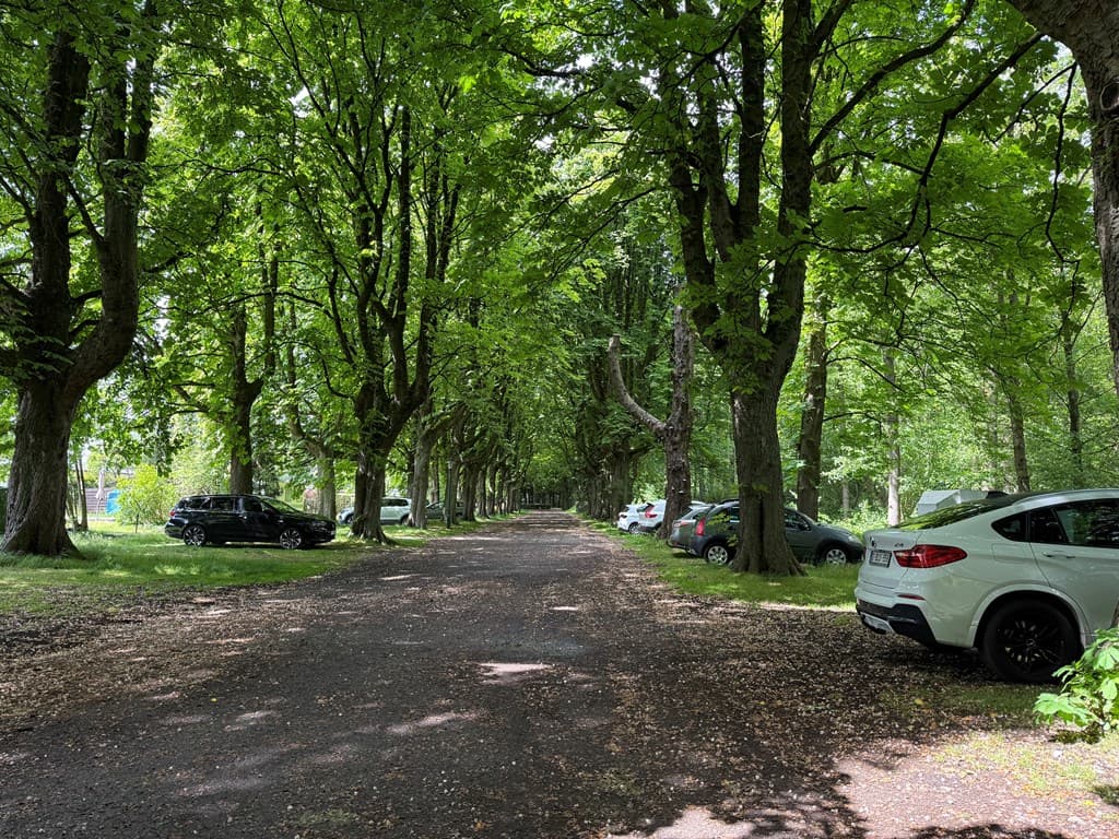 Landschappelijke laan omzoomd met bomen en parkeren aan beide zijden, met een grindpad en groene vegetatie.