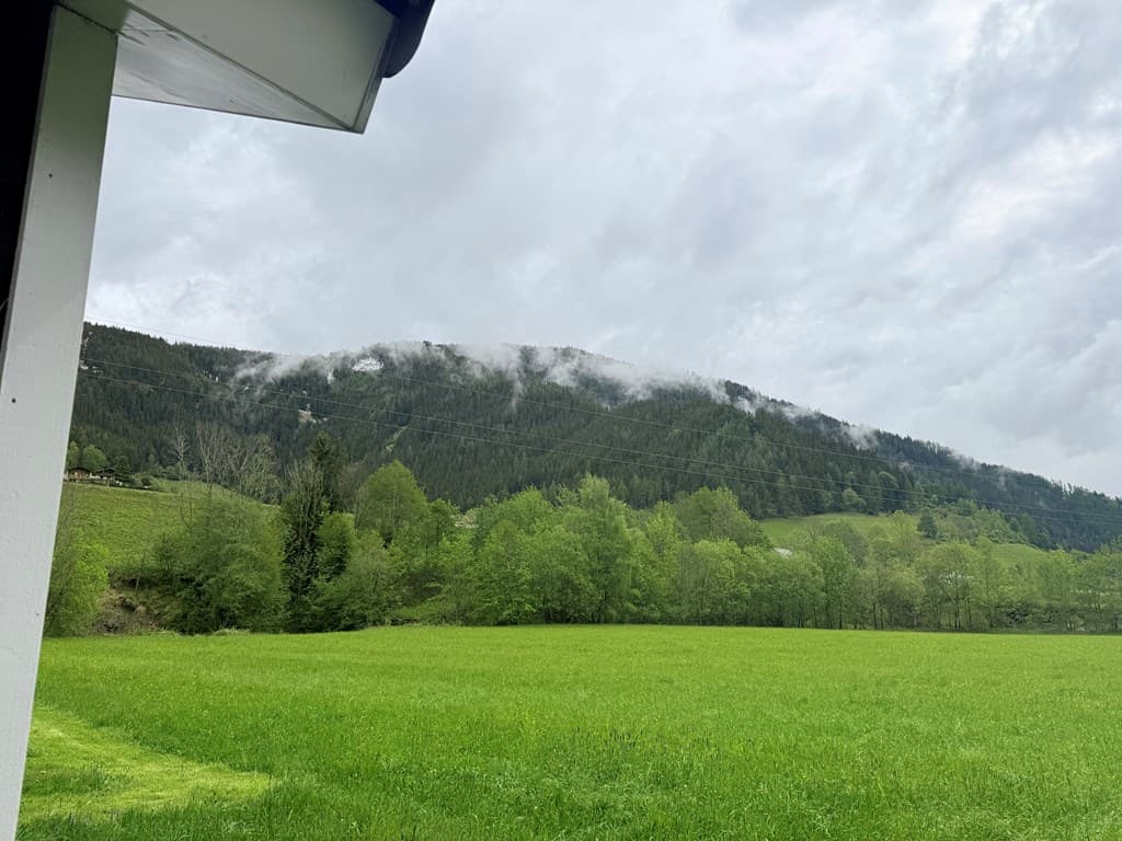 Uitzicht op een groen veld met op de achtergrond een berg met nevel en bomen onder een bewolkte lucht