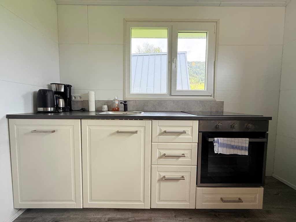 Keuken met moderne kasten, spoelbak, kookplaat en oven, lichtinval van een raam met uitzicht op de buitenomgeving